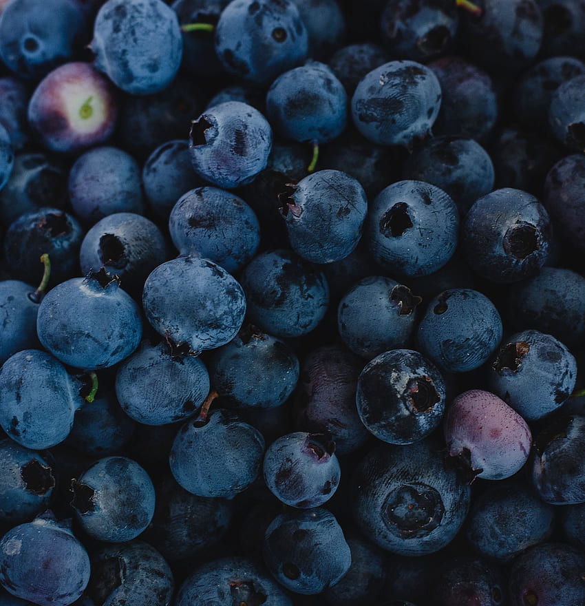 Fresh, blueberries, dark-blue, fruit HD phone wallpaper