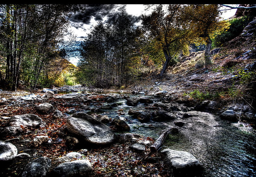 Forest creek, river, woods, trees, sky, r, rocks HD wallpaper