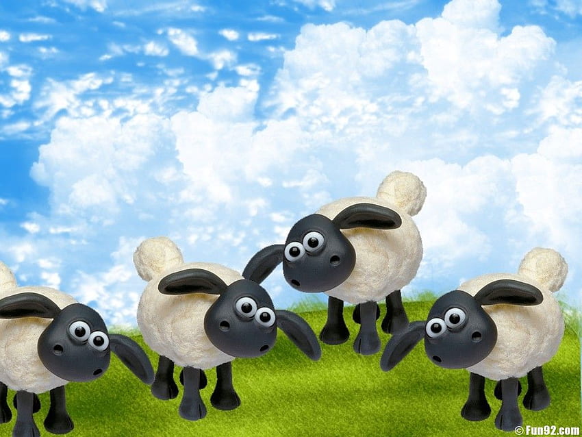 Black Sheep Photos Download The BEST Free Black Sheep Stock Photos  HD  Images