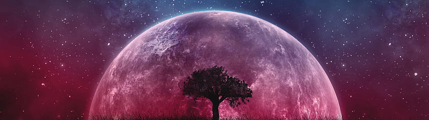 Mond-Nachthimmel-Sterne-Landschaftslandschaft, Doppelmonitor HD-Hintergrundbild