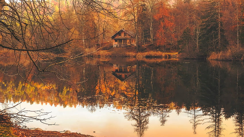 Cabana de madeira marrom na floresta em frente à água. Flare, Cabin Woods papel de parede HD