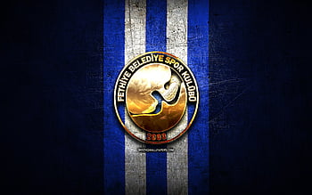 OGM Ormanspor, golden logo, Basketbol Super Ligi, green metal ...