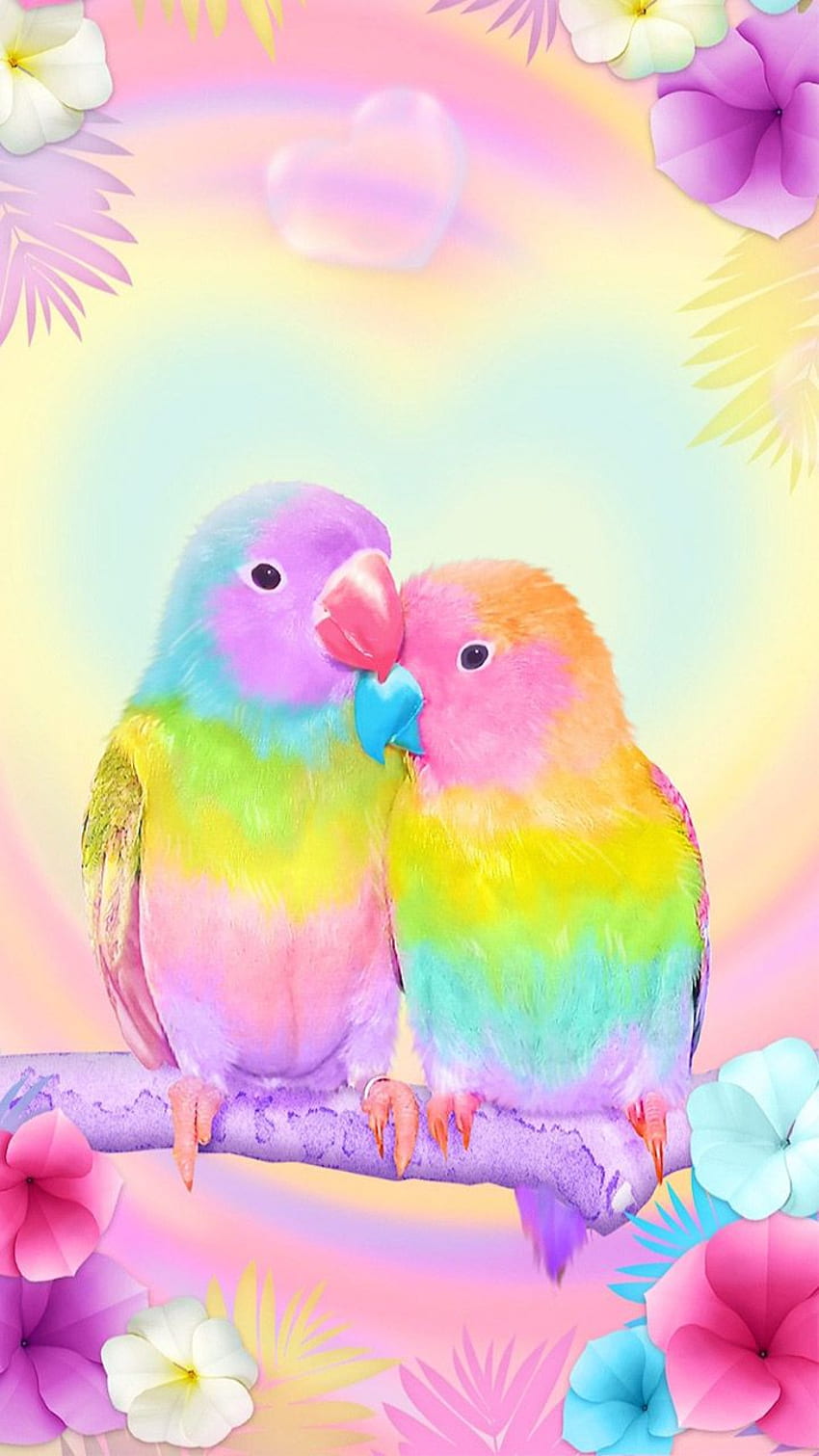 3D Cute Colorful Lovebirds Parrot Gravity Theme Install on GooglePlay Store. Parrot , Rainbow background, Animal, Kawaii Bird HD phone wallpaper