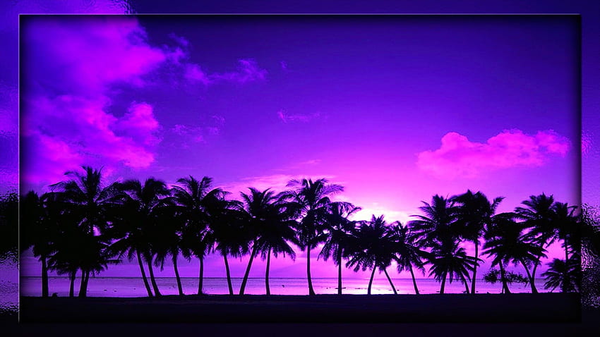 Lila Baum, Palmen der 80er Jahre HD-Hintergrundbild