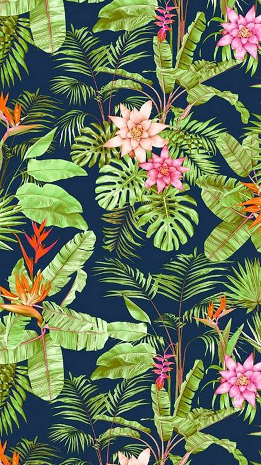 Flowers Jungle Vegetation iPhone 8, Rainforest Flowers HD phone wallpaper