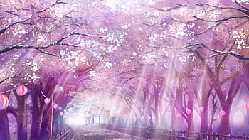Anime Cherry Blossom  Sakura Flowers Anime HD wallpaper  Pxfuel