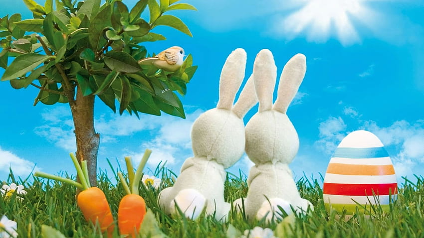 Rabbit Couple Stock Photos and Images - 123RF