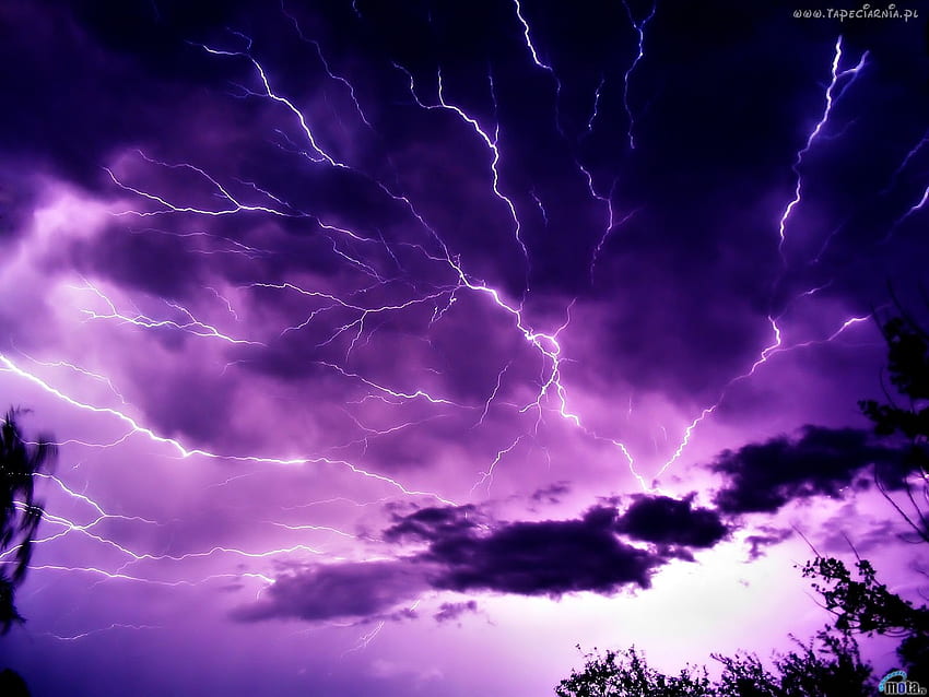 Tempête sombre avec ciel de nuages ​​​​sombres - Purple Lightning Storm Gif, Dark Thunderstorm Fond d'écran HD