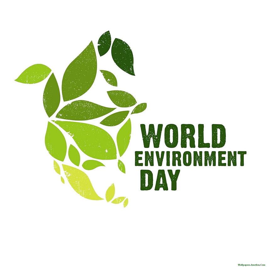 green environment, Environmental Science HD phone wallpaper