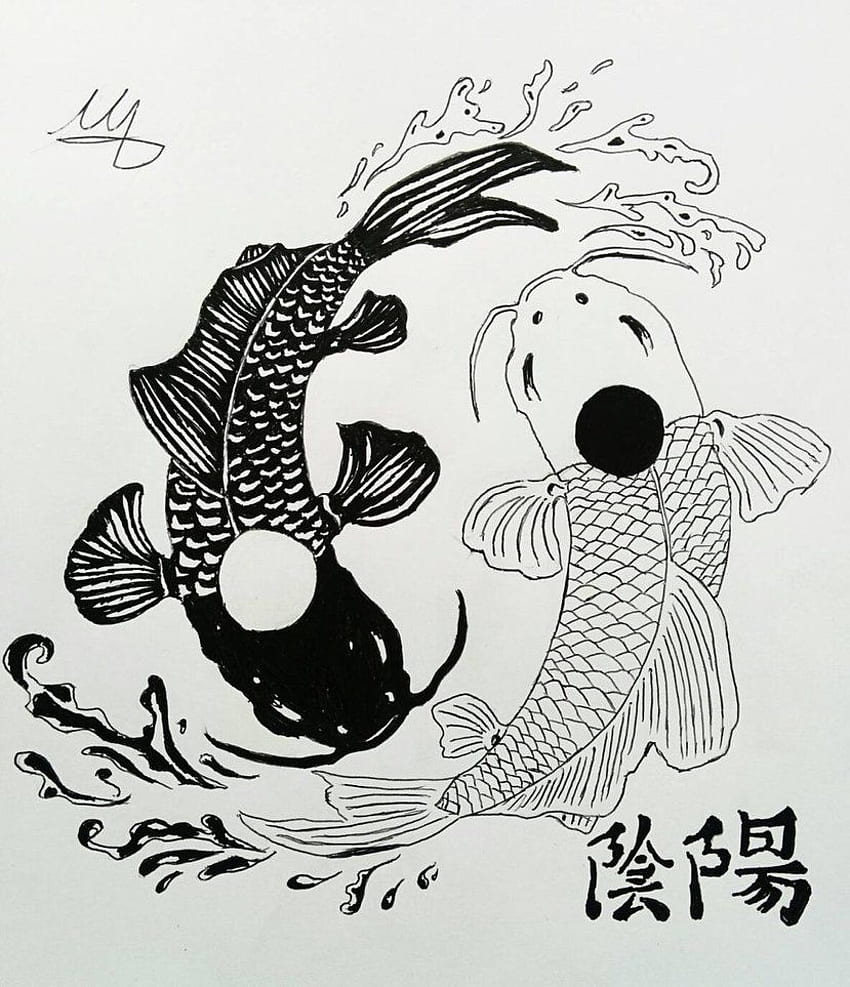 Yin Yang Koi-Fisch HD-Handy-Hintergrundbild