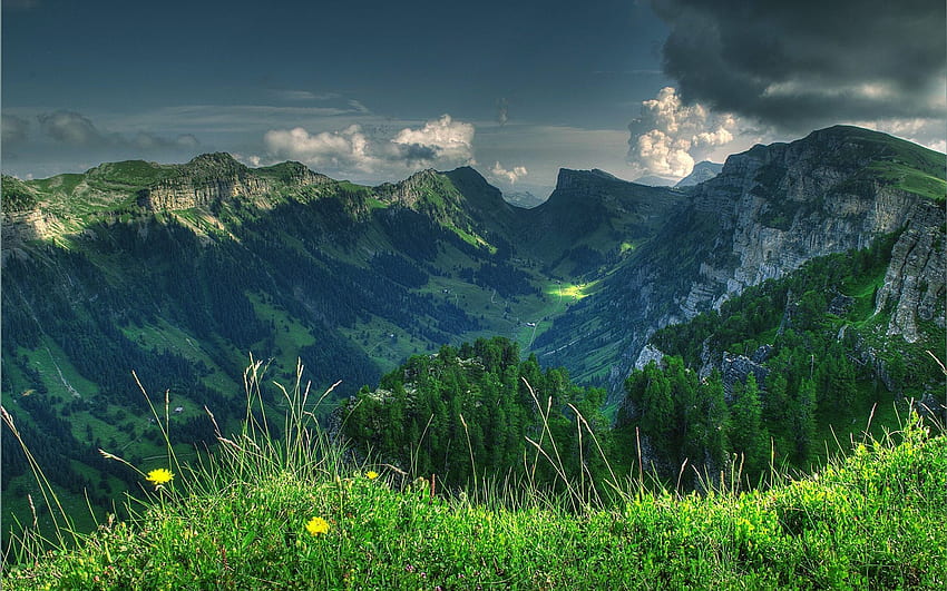 планинска долина, Алпи, Швейцария, планински пейзаж, зелени склонове, гора за с резолюция . Високо качество HD тапет