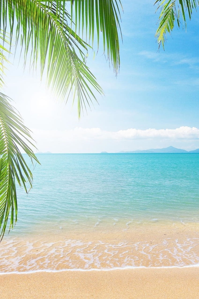 Tropical Beach Live Palm - ชายหาด - วอลล์เปเปอร์โทรศัพท์ HD