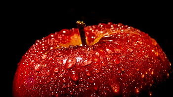 Red Apple Drops 42315 HD wallpaper | Pxfuel