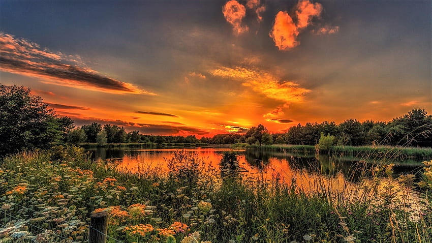 Sunset pond, sky, pond, vegetation, sunset HD wallpaper | Pxfuel