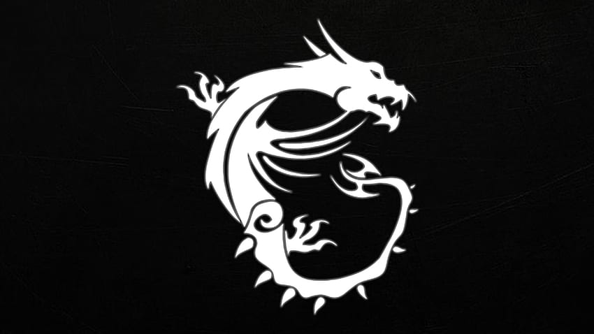 MSI Dragon, Black and White Dragon HD wallpaper