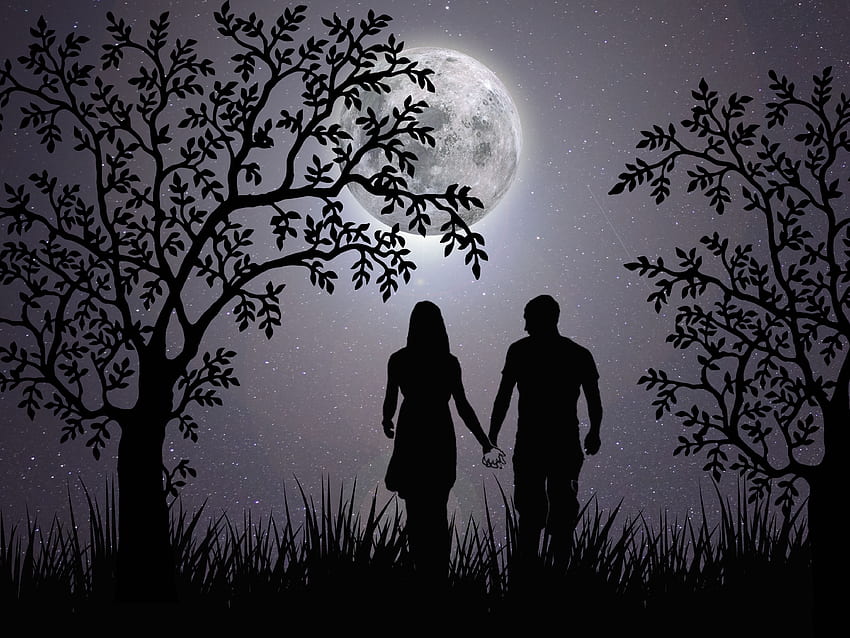 : miłość, romantyczny, noc, razem, uczucia, para, sylwetka, księżyc, fantazja, ciemność, czarno-biały, drzewo, niebo, światło księżyca, emocja, atmosfera, gałąź, komputer, monochromatyczna grafika, północ, sztuki wizualne, zapas, noc Para Tapeta HD