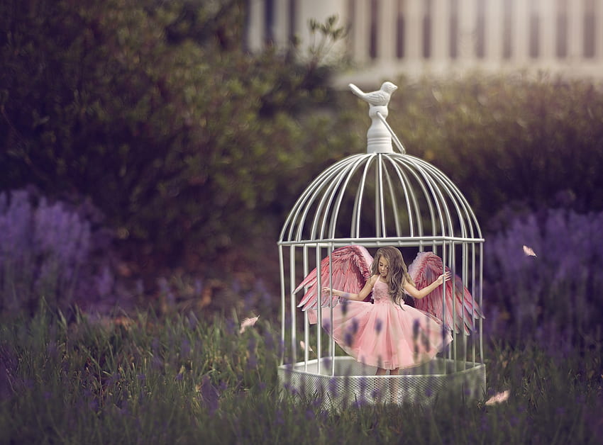 bird, little girl, wings, bird, pasare, girl, cage, copil, pink, creative, fantasy, tara lesher, child HD wallpaper