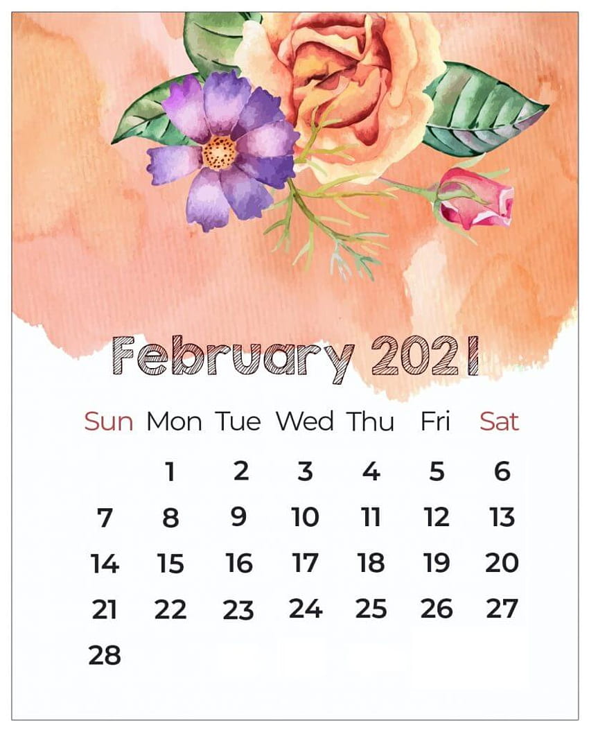 February Backgrounds Free Download for Your Phone Tablet or Desktop  The  Morning