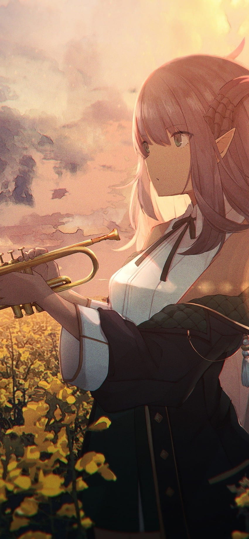 Anime Girl, Trumpet HD phone wallpaper