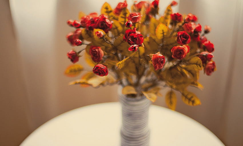 Roses, vase, rouge, fleur Fond d'écran HD