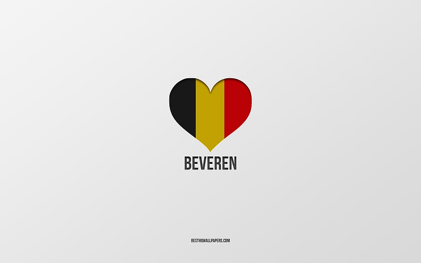 Обичам Беверен, белгийски градове, Ден на Беверен, сив фон, Беверен, Белгия, сърце с белгийски флаг, любими градове, Обичам Беверен HD тапет