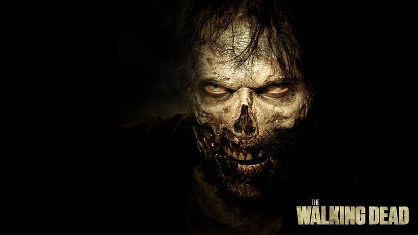 THE WALKING DEAD serie de zombies de terror oscuro drama apocalíptico, Thriller fondo de pantalla