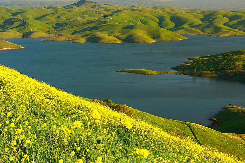 ภูมิทัศน์ไอริช ฟิลด์ อื่น ๆ ธรรมชาติ ดอกไม้ ภูเขา น้ำ ทะเลสาบ วอลล์เปเปอร์ HD