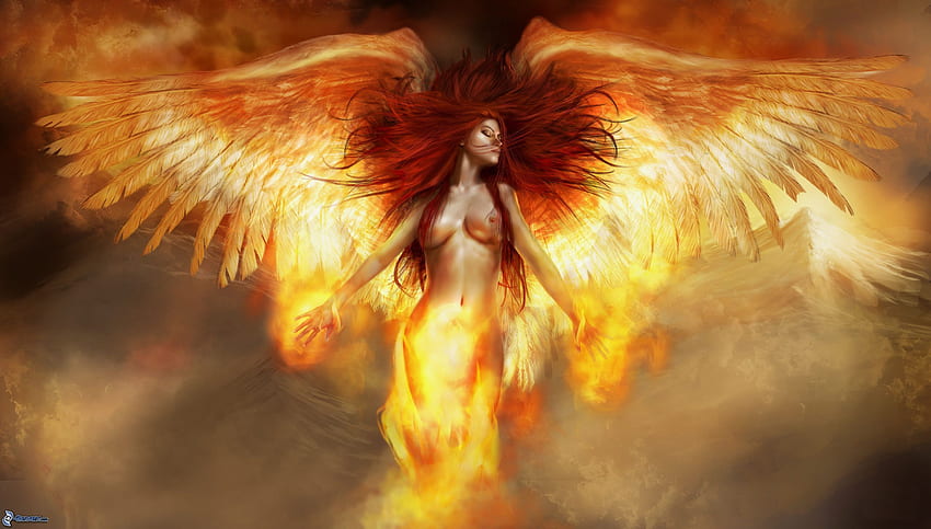 search?q=ailes. Fantasy art angels, Angel art, Phoenix, Phoenix Girl HD wallpaper