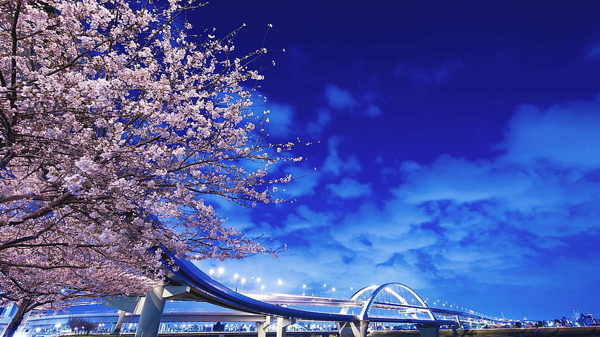 都市, 桜, 橋、日本、北海道 高画質の壁紙