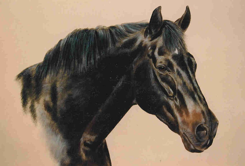 Vollblut, Pferde, Malerei, Tiere, Pferdekunst, David Magnes HD-Hintergrundbild