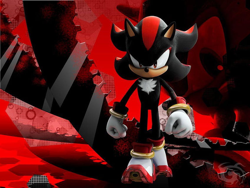 Shadow The Hedgehog, Cool Sonic and Shadow HD wallpaper