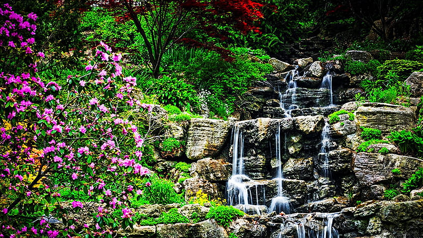 Cascading waterfall in japanese garden in springtime, trees, cascades, rocks, stones HD wallpaper