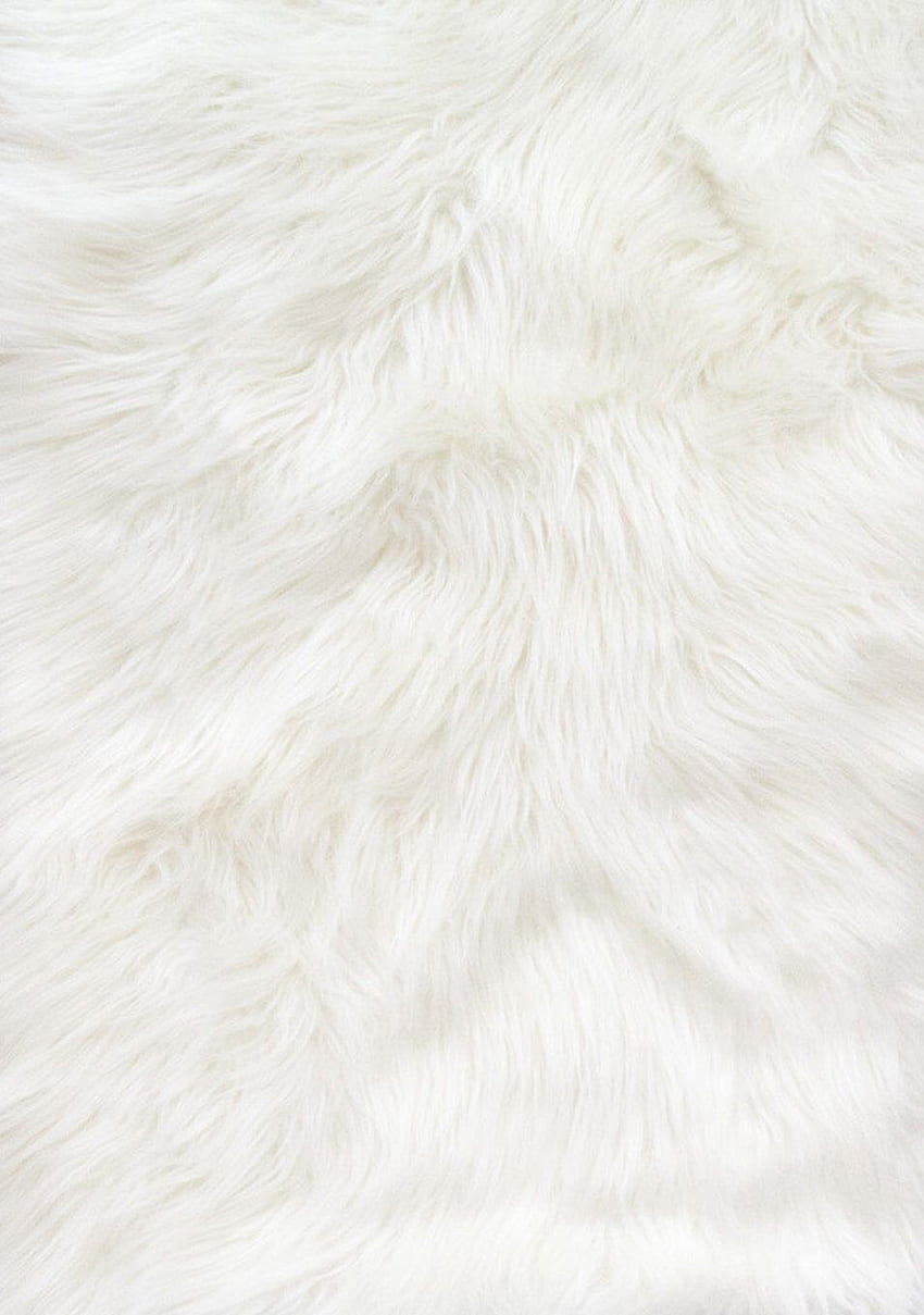 ผ้าขนสัตว์เทียมกองยาวสีขาวขนปุย By The Yard 60 Wide โดย JSInternationalTex Cenários de fotografia, Fundo สำหรับถ่าย, Papel de parede de fundo branco วอลล์เปเปอร์โทรศัพท์ HD