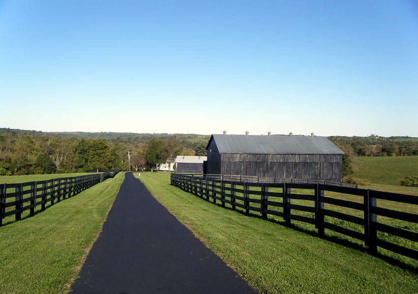 Kentucky Horse Farm : : High HD wallpaper