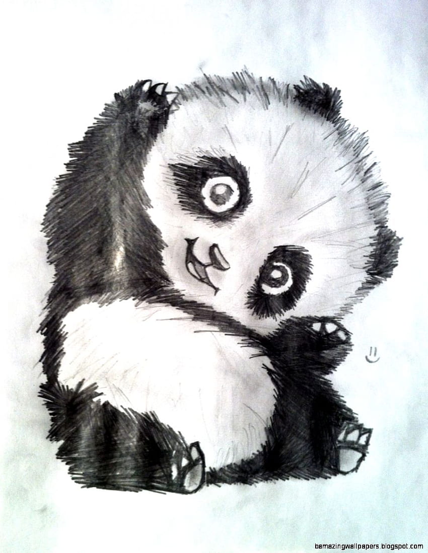 Baby Panda Drawing Cliparts, Stock Vector and Royalty Free Baby Panda  Drawing Illustrations