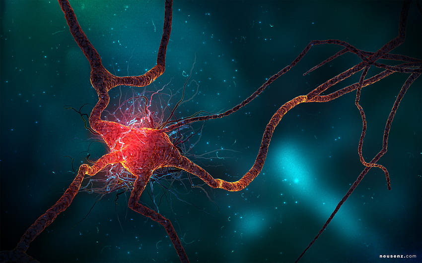 yaratıcı nöron hücresi ve Arka Plan - , , ler HD duvar kağıdı