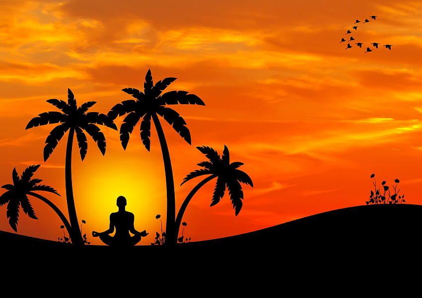Palmen, Vektor, Silhouette, Meditation, Harmonie, Yoga HD-Hintergrundbild
