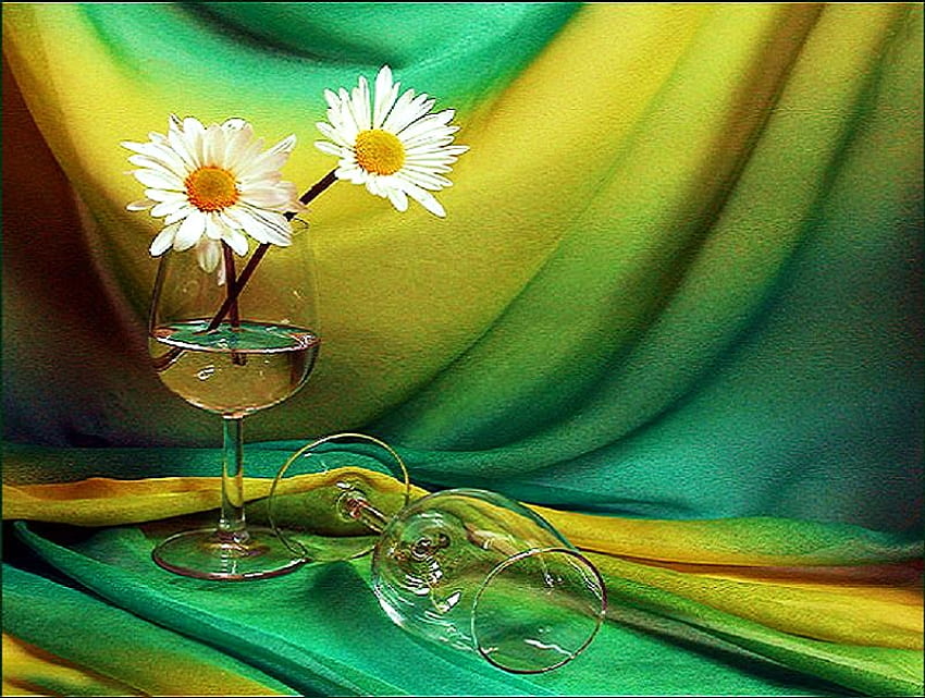 Two in one, two, white and yellow, wine glasses, green drapery, tipped glass, daisies HD wallpaper