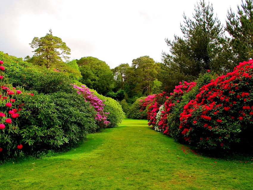 Campuran alam terbaik yang indah. Taman bunga yang indah, Taman, Taman, Taman Menakjubkan Wallpaper HD