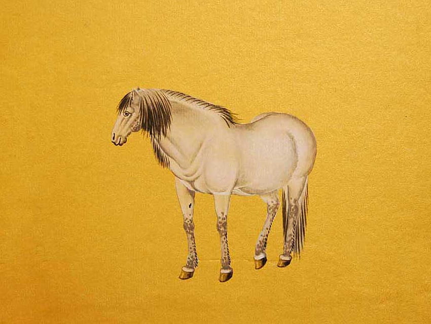 馬、動物、絵、黄色 高画質の壁紙