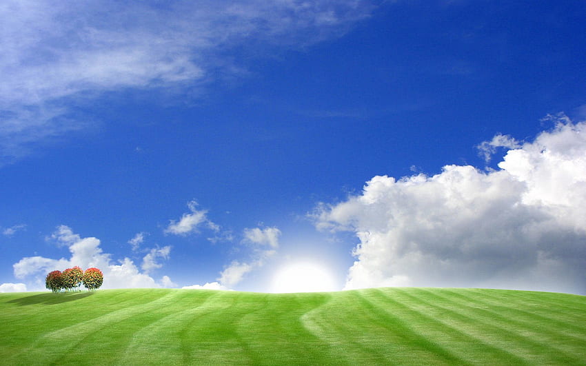 Alam, Pohon, Langit, Awan, Hari, Padang Rumput Wallpaper HD