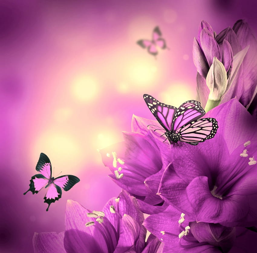 Purple Flowers, purple, butterflies, beautiful, flowers HD wallpaper