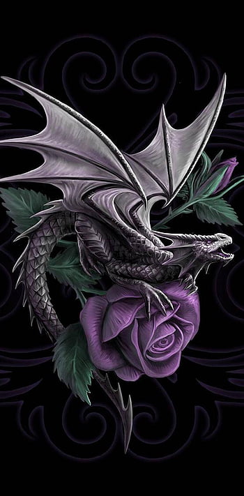 Saturnia Tattoos  Dragon and rose by nikotattooartist   Hes taking  bookings now slide into his DMs Email nikotattooartistgmailcom or fill  out our request to book form on our website to