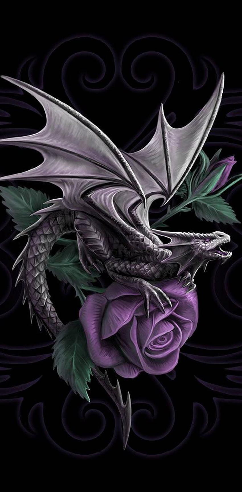 Dragón rosa, dragón negro y púrpura fondo de pantalla del teléfono