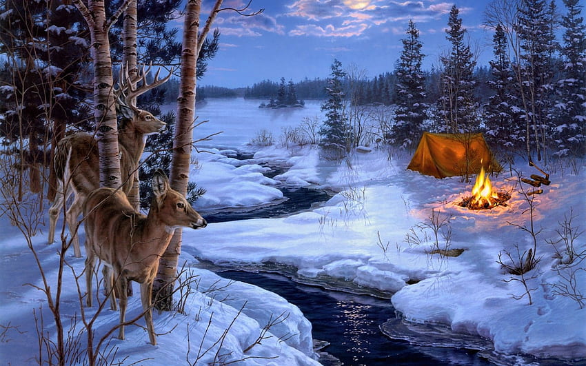 Darrell Bush Moon Shadows painting winter snow animals deer . HD wallpaper