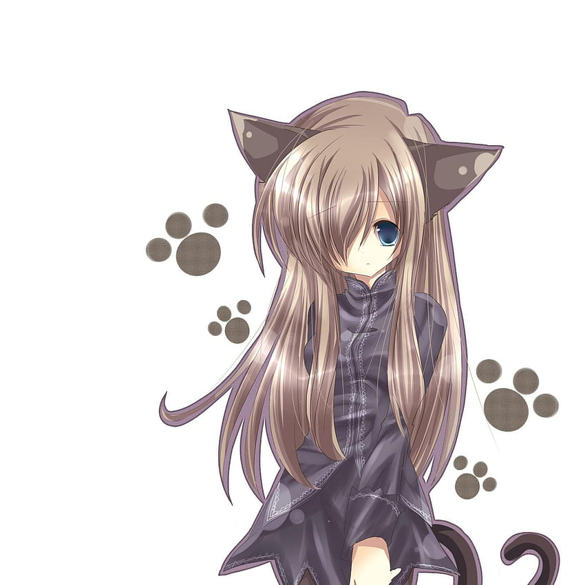 Anime kitty cat girl HD wallpapers | Pxfuel