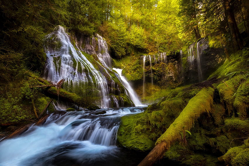 Forest waterfall, trees, waterfall, cascades, beautiful, forest HD wallpaper