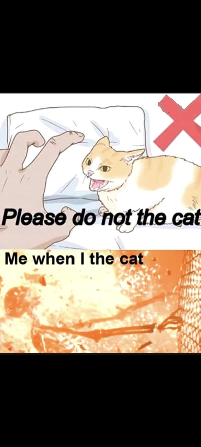 Por favor, no el gato, meme fondo de pantalla del teléfono