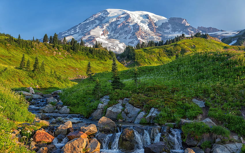 Mount Rainier, morning, Edith Creek, Cascade Range, mountain landscape, mountain stream, Washington State, USA HD wallpaper