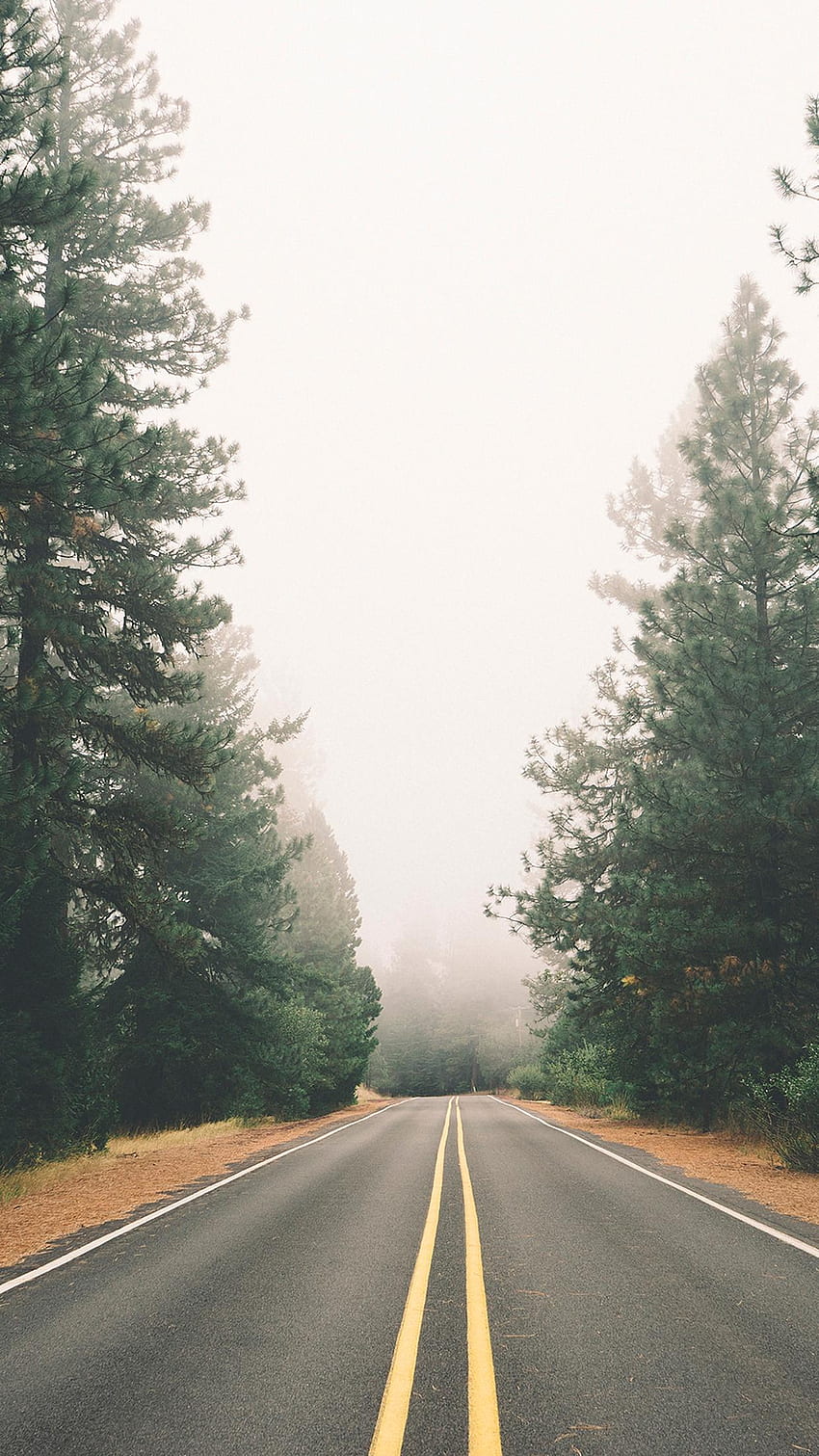 Peaceful iPhone - Road And Forest - & Background , Highway iPhone HD phone wallpaper